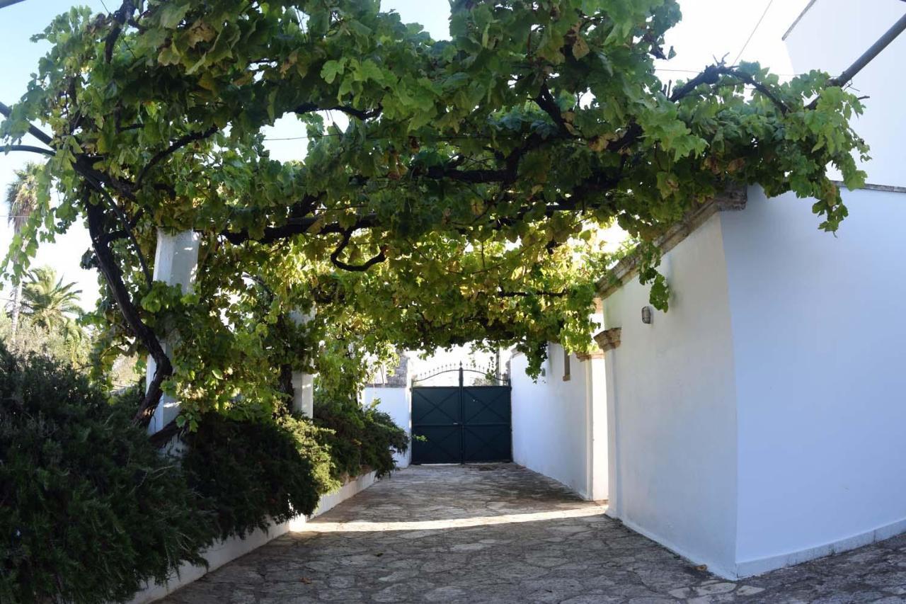 La Giara House ,Near Gallipoli Alezio Zewnętrze zdjęcie