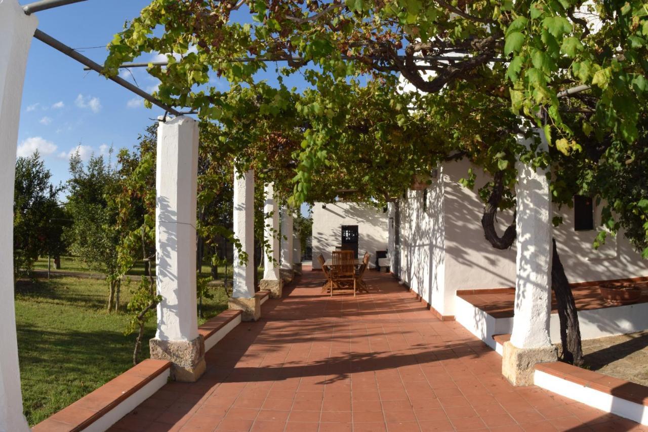 La Giara House ,Near Gallipoli Alezio Zewnętrze zdjęcie